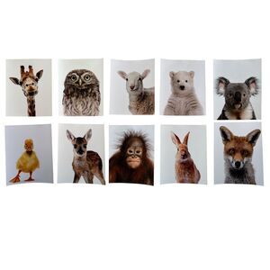 Nursery Wall Art Baby Animal Photography Woodland Zoo Farm Set of 10, 8x10 Inch